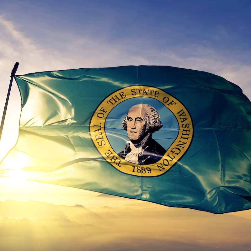 Washington State flag